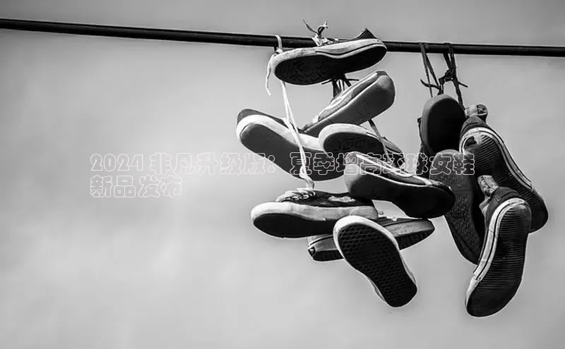 米兰·体育官方网站彩讯股份2024 非凡升级版：夏季增高环球女鞋
新品发布