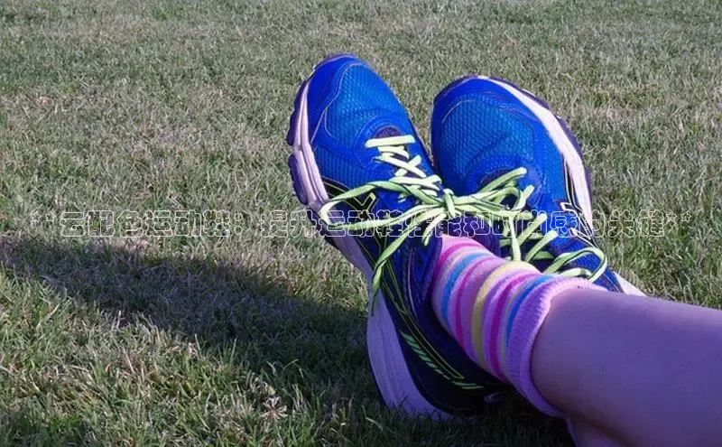 米兰官方网站直接进入观星盘**云配色运动鞋：提升运动鞋性能和时尚感的关键**