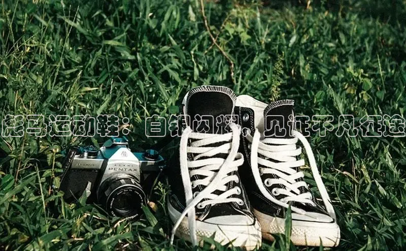 米兰app官方app下载网易彪马运动鞋：白银闪耀，见证不凡征途