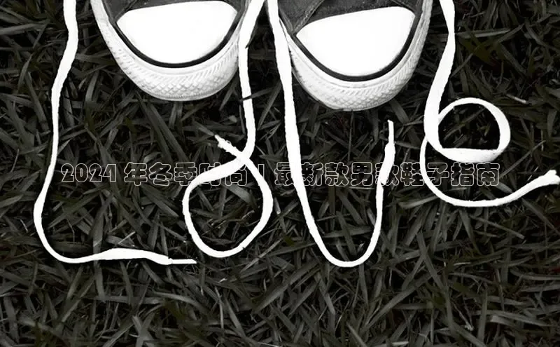 米兰体育全站百度人工翻译2024 年冬季时尚 | 最新款男款鞋子指南