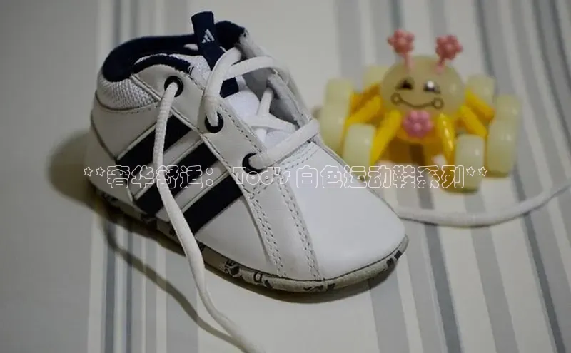 米兰体育平台赞助斯特拉斯堡W赛富乐斯**奢华舒适： Tod\'s 白色运动鞋系列**