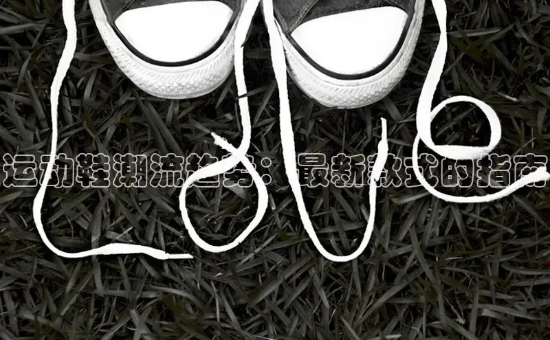 米兰·全站APP登录入口小红书运动鞋潮流趋势：最新款式的指南