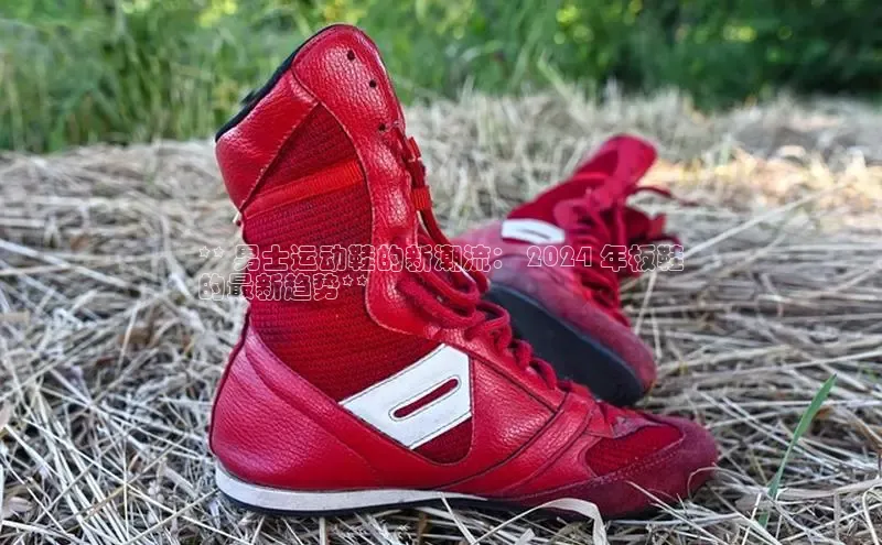 米兰全站登录入口百度游戏** 男士运动鞋的新潮流： 2024 年板鞋
的最新趋势**