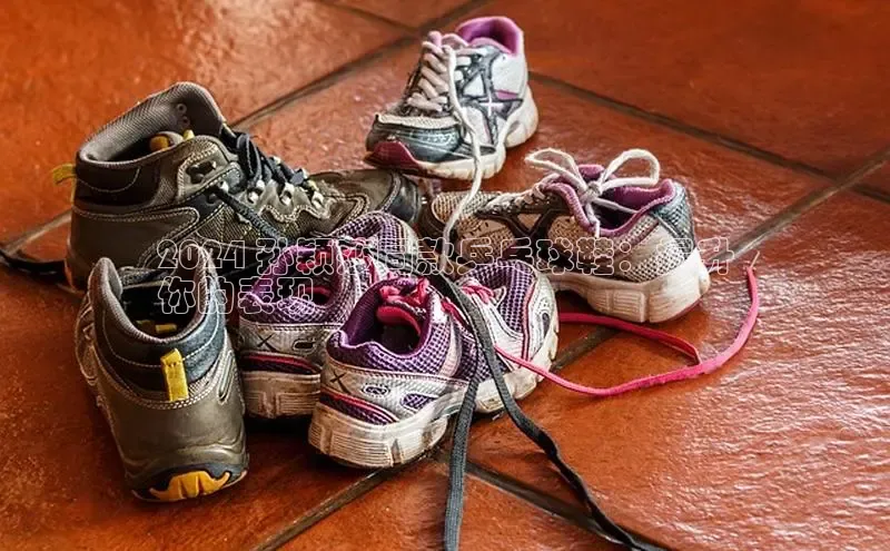 米兰app官方app下载度小满支付2024 孙颖莎同款乒乓球鞋：提升
你的表现