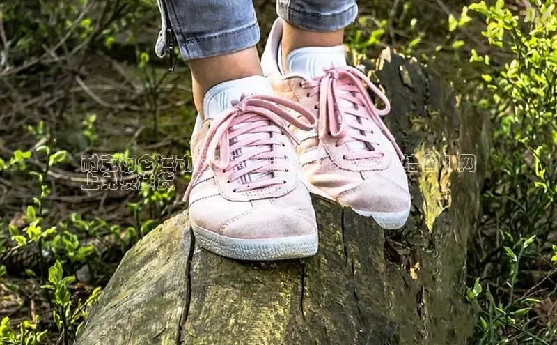 米兰网页版在线登录百度游戏开放平台耐克柯仑运动鞋：高性能和时尚的完美结合 | 网
上免费送货