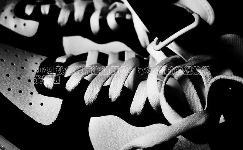 米兰app官方app下载网易2024 秋冬鞋履潮流预览：不容错过的爆款批
发精选