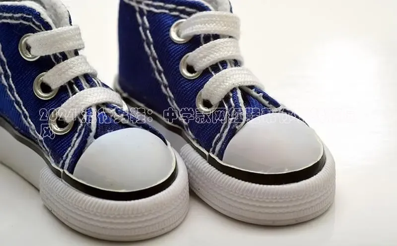 米兰网页版在线登录百度游戏开放平台2024 流行男鞋：中学款网红鞋帮你玩转校园
风