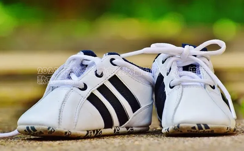 米兰体育app手机下载诸葛科技2024 年秋季冬季女鞋必备时尚单品：流行
款式一览