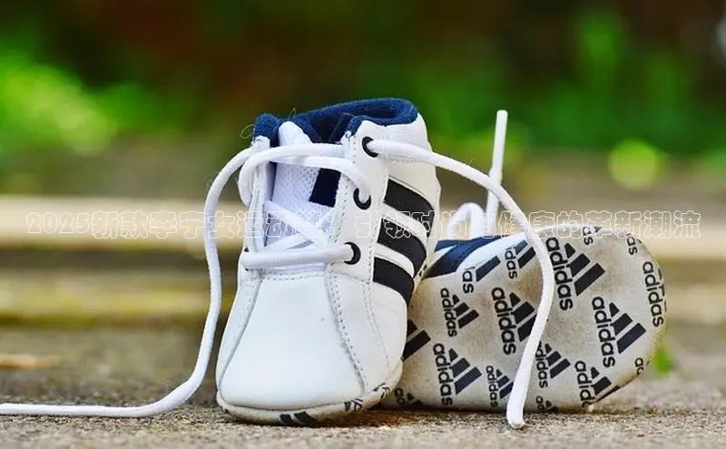 2025新款李宁女运动鞋：引领时尚与健康的革新潮流