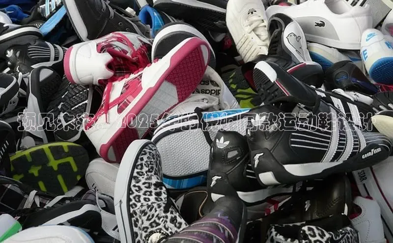 预见未来：2025年的倪妮同款运动鞋设计