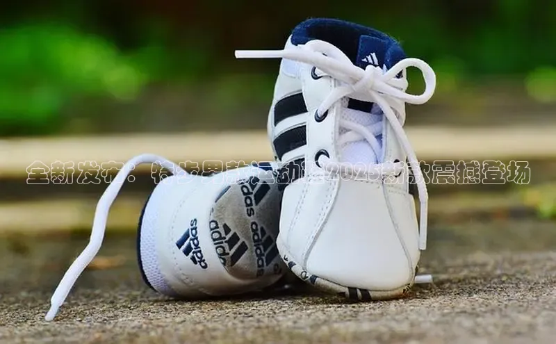 米兰app官网下载安装